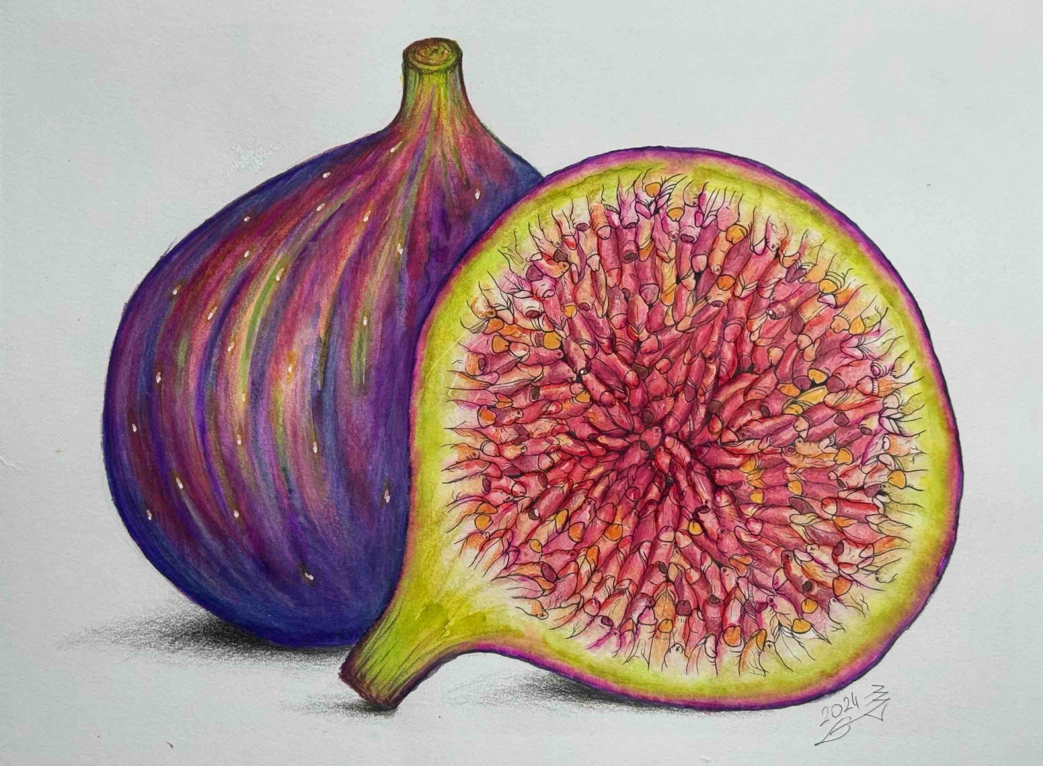 Magnus Phoenix / FIGHTER - FRUIT OF LUST