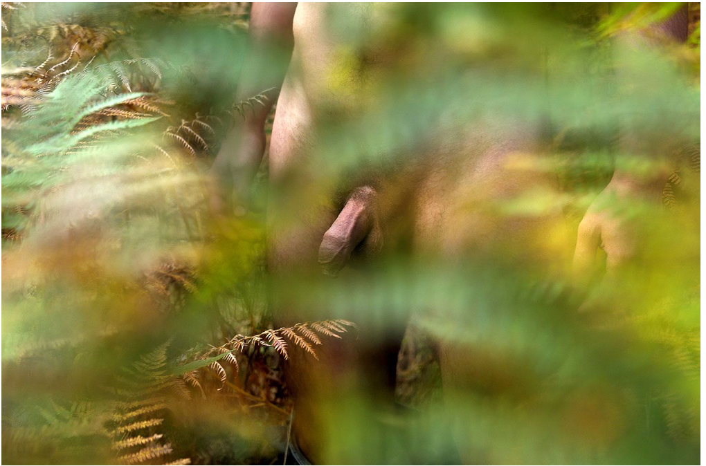 Marko Stojanović / Forbidden fruit - Grapes