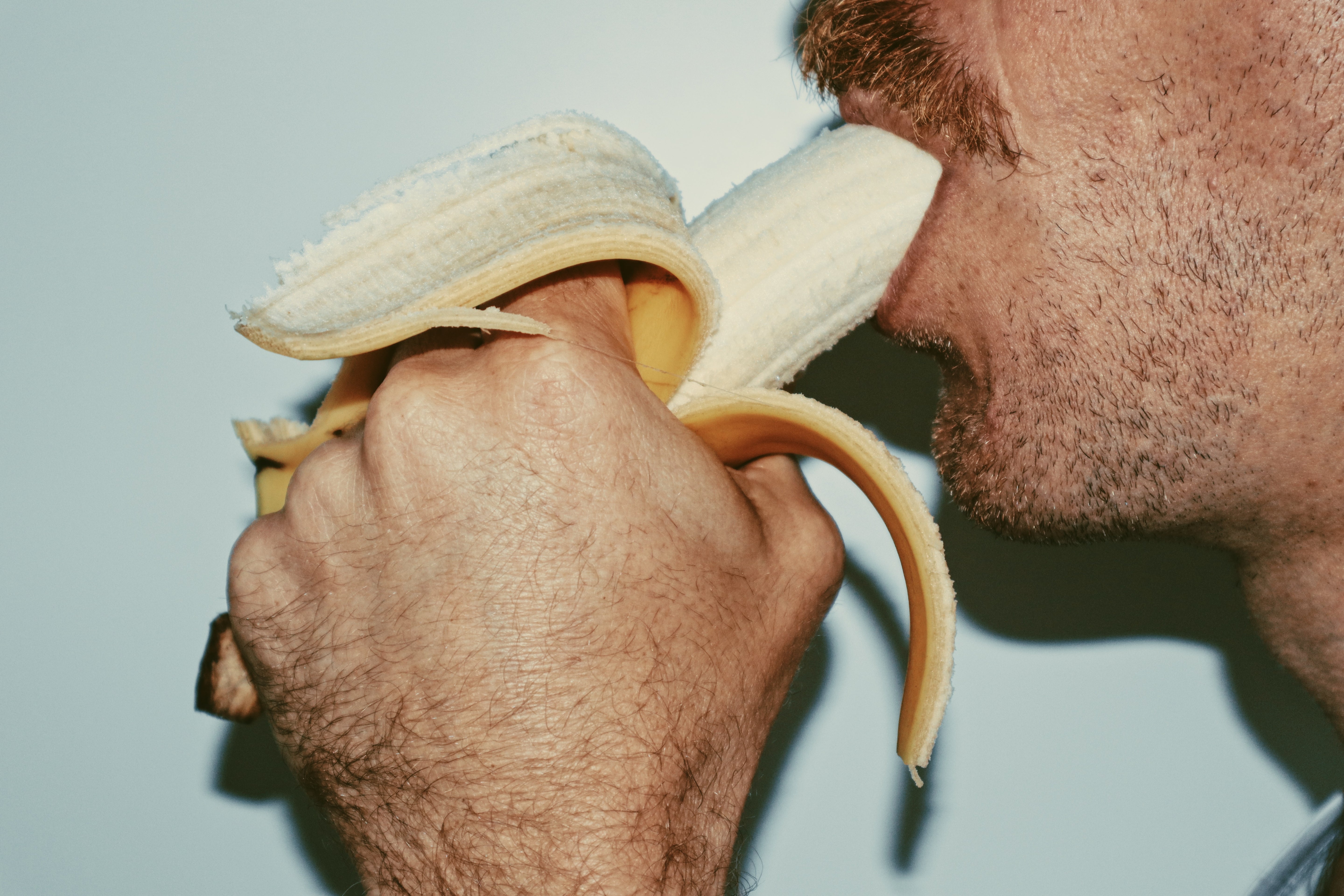 PCP Photography / Phallus Fructis