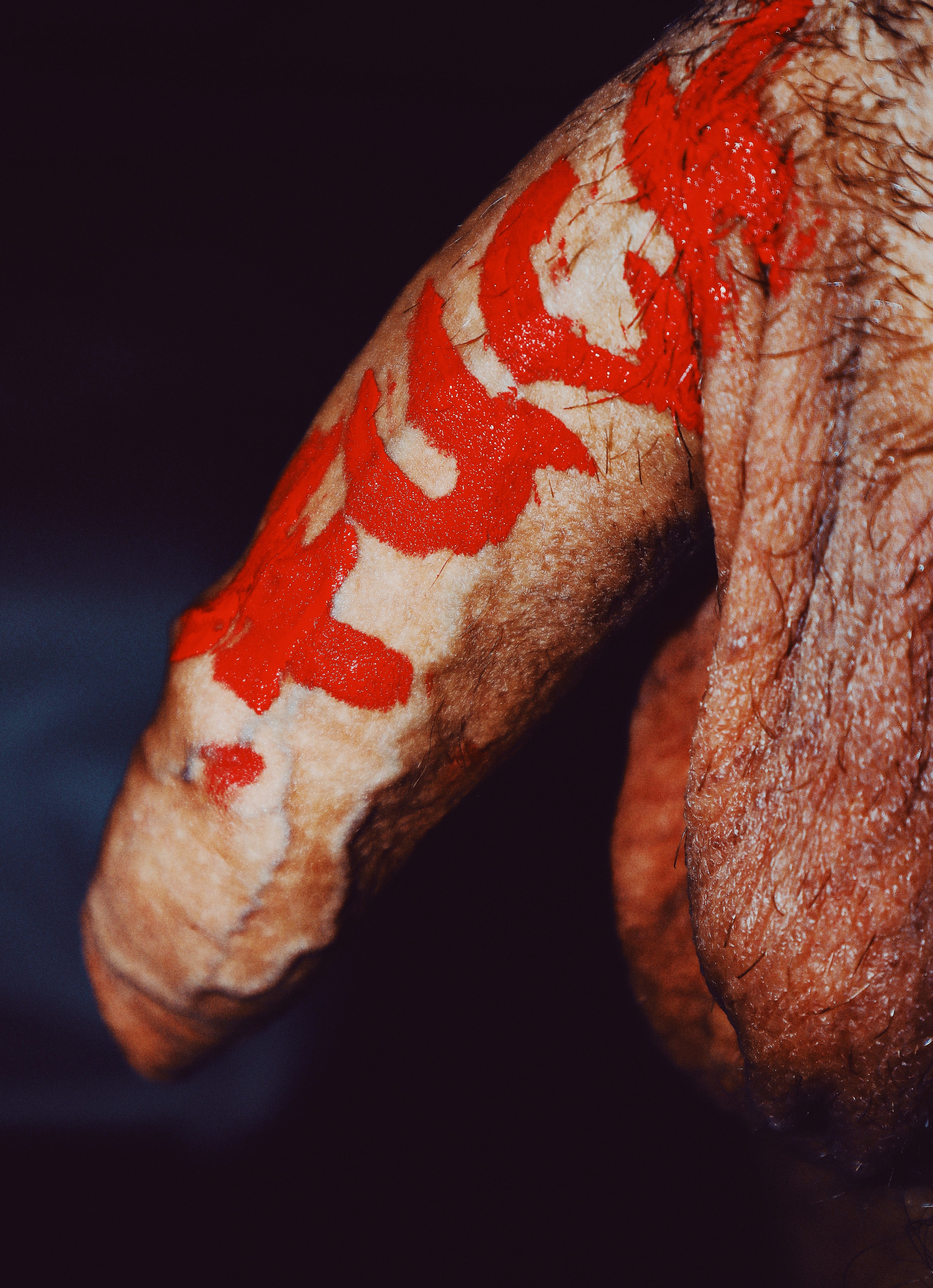 PCP Photography / Fuck