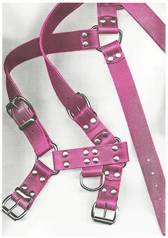 Martin Steinfeld / Harness