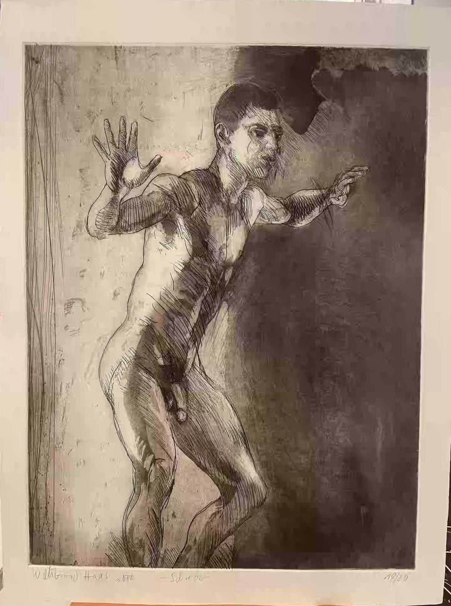 Willibrord Haas / Schreck