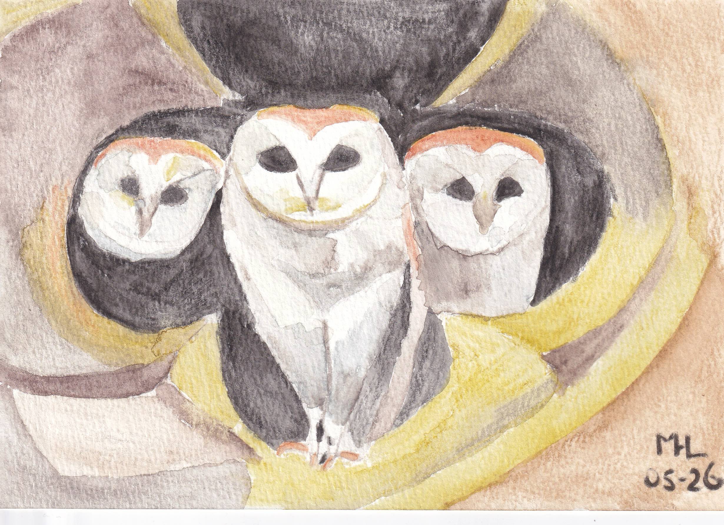 Marc Leeflang / Band of owls