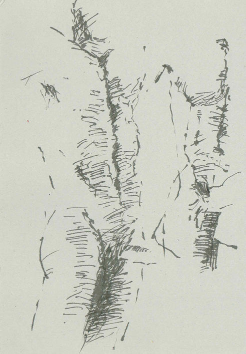 Wolfgang Schultheiß / o. T. 02 Z 20240109