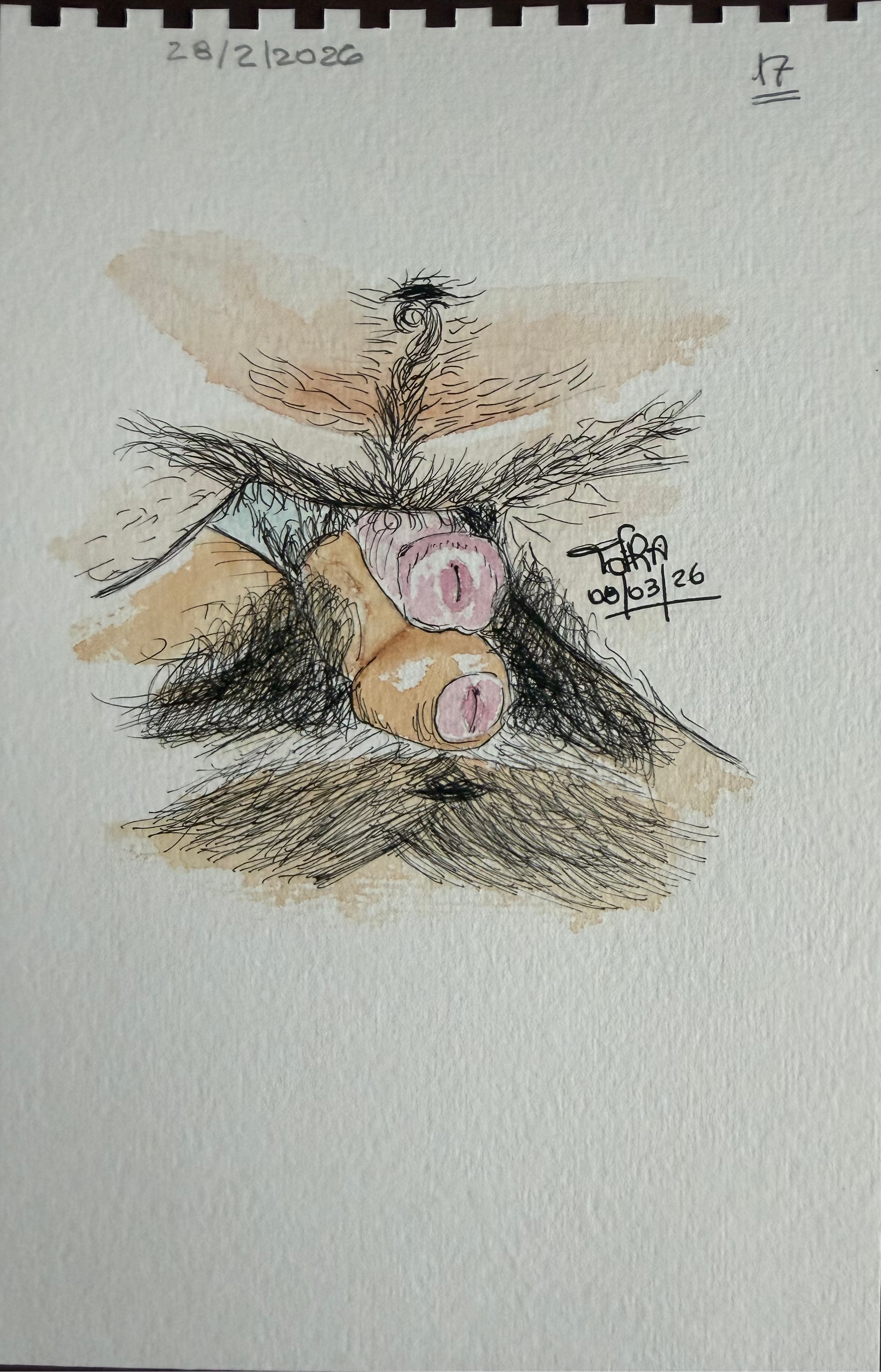 Tulio of Frankfurt (ToFRA) / Top & bottom - cut uncut series 01