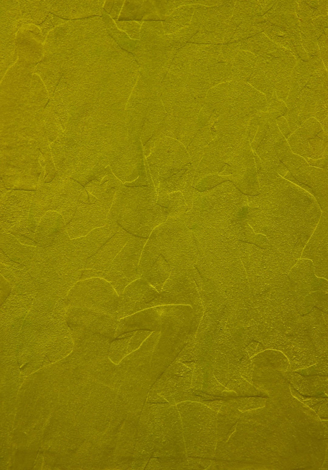 Juan Carlos Arteaga Flórez / Gold's Gym 2