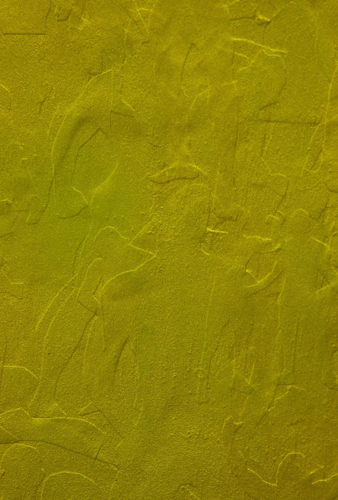 Juan Carlos Arteaga Flórez / Gold's Gym 3