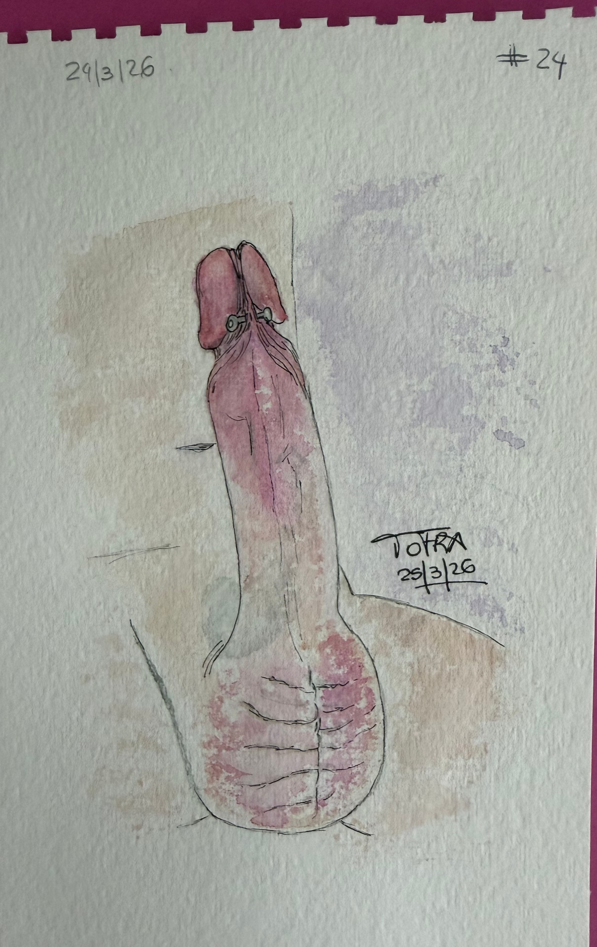 Tulio of Frankfurt (ToFRA) / Canadian perforation - Visitors series 04