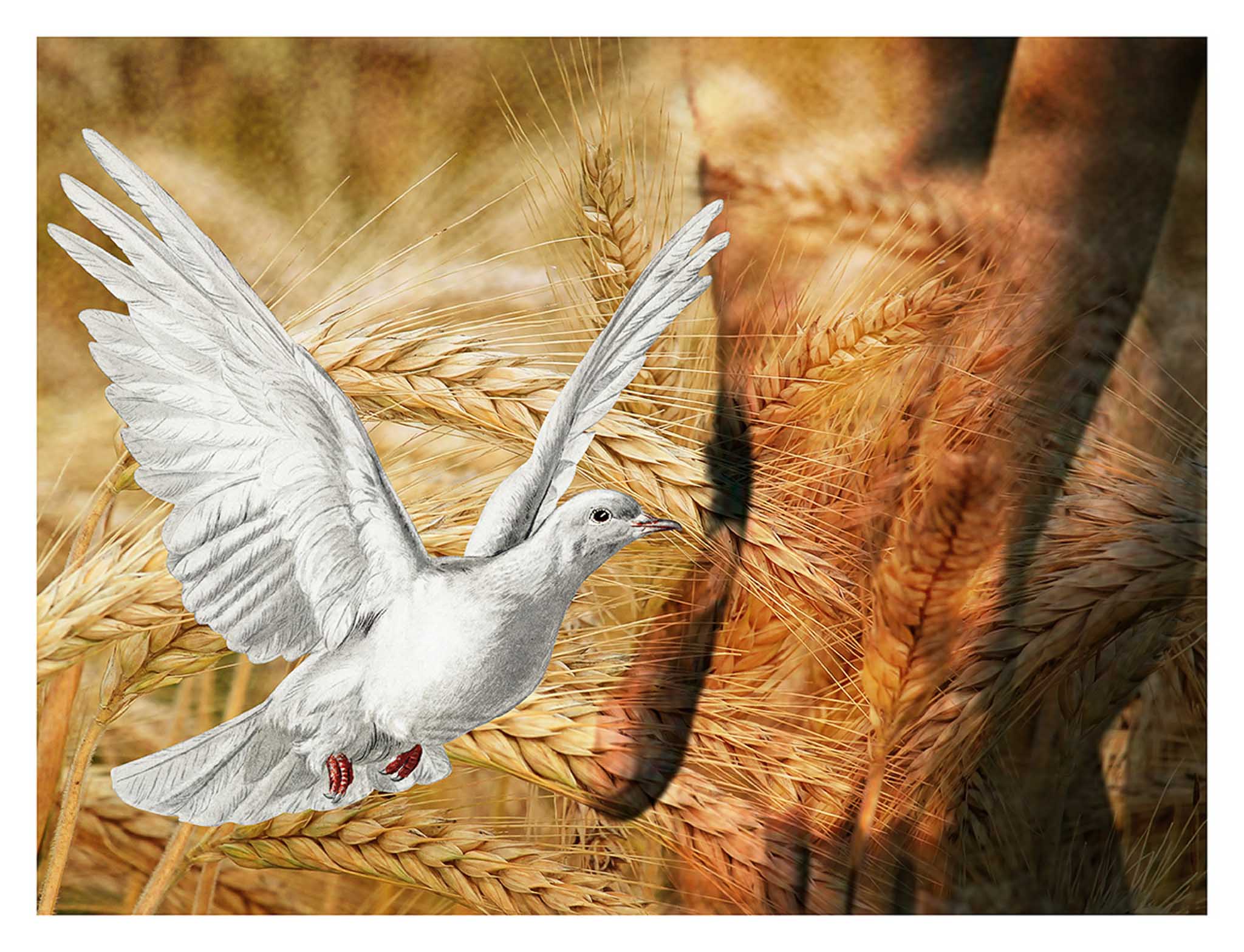 Paul Beaudoin / The Gift of Gabriel