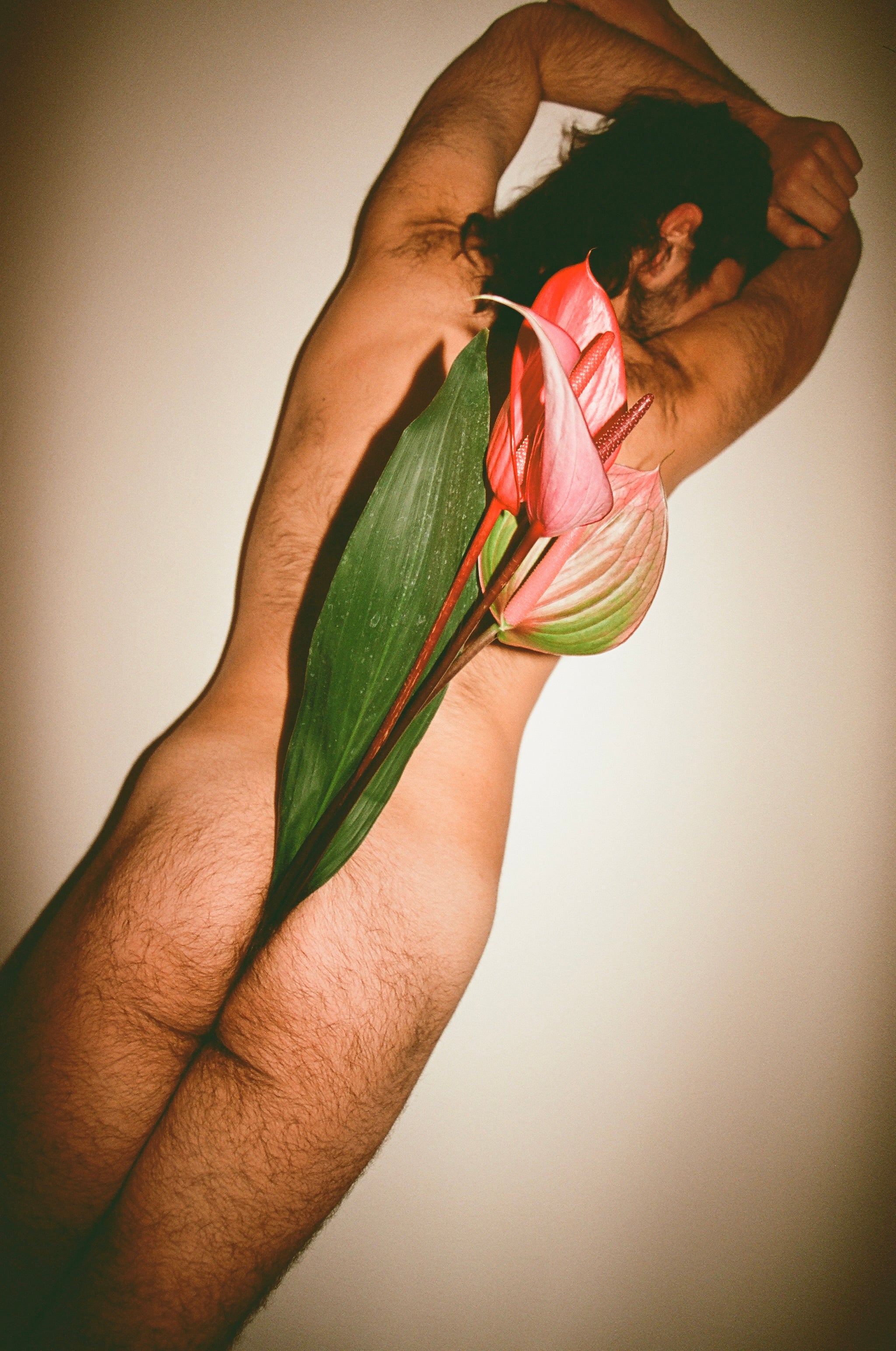 Stefan Mogolyanov / Butt Flowers