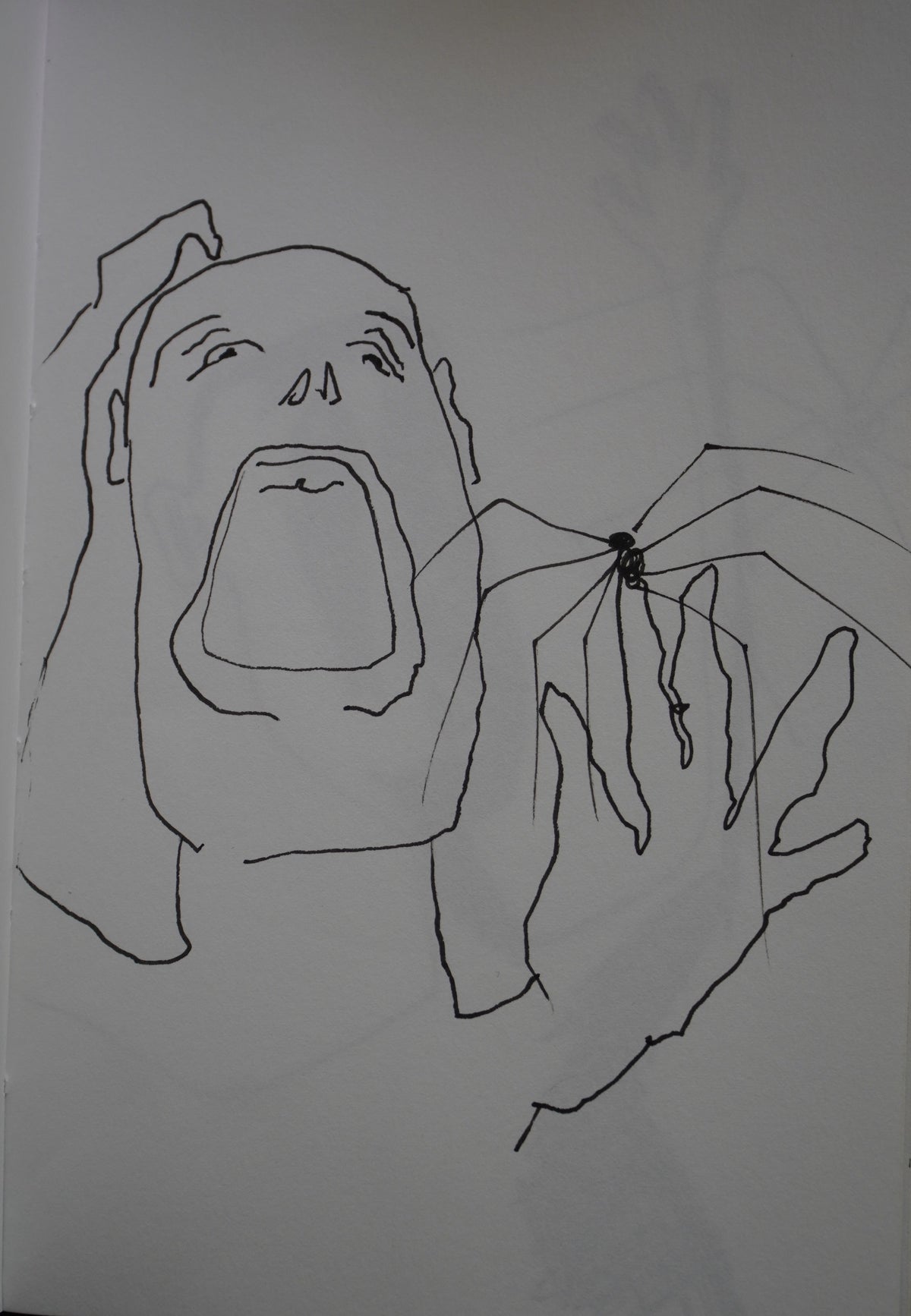 Steph A. / Spider