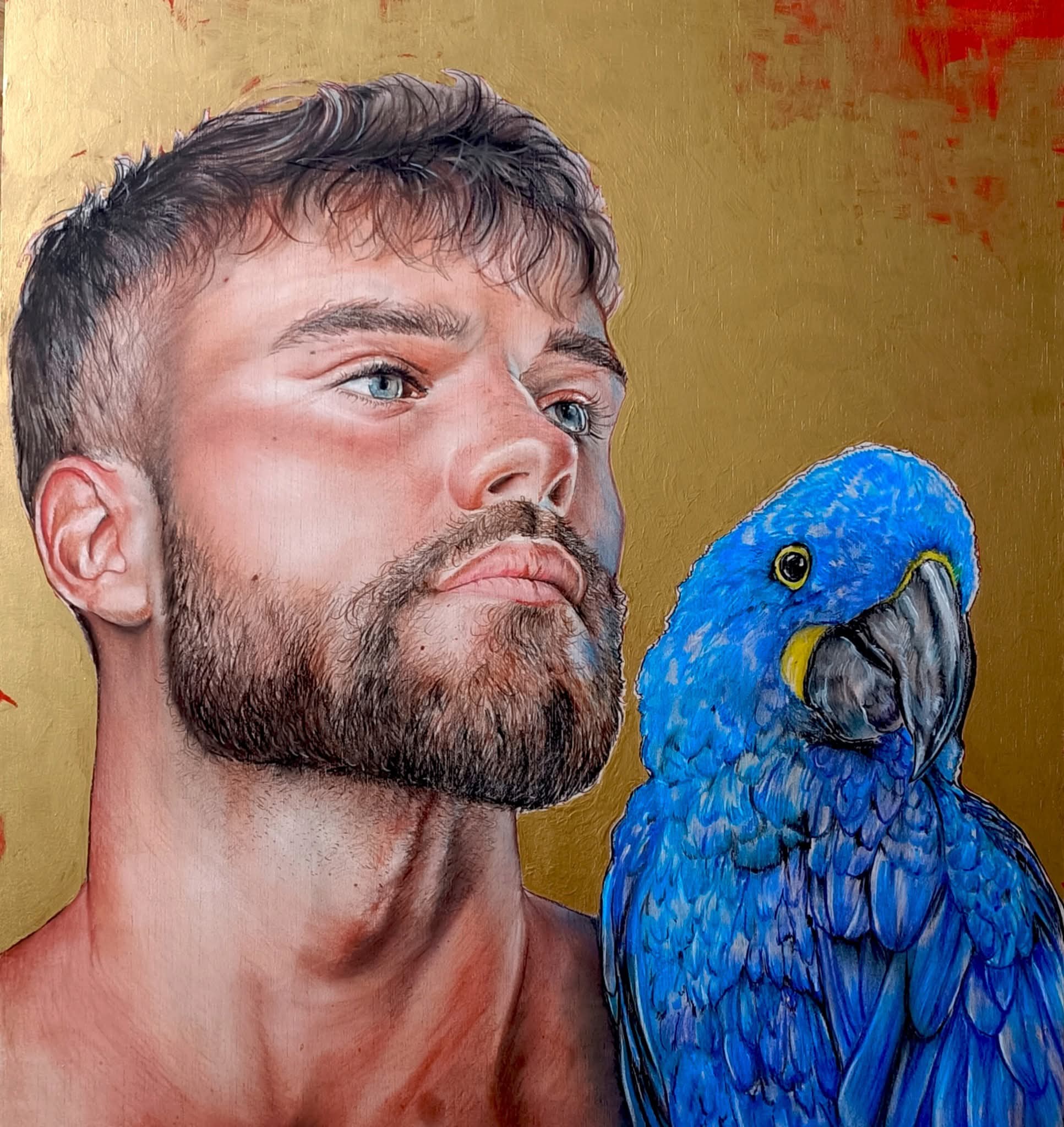 Javier Trelis / Hyacinth Macaw