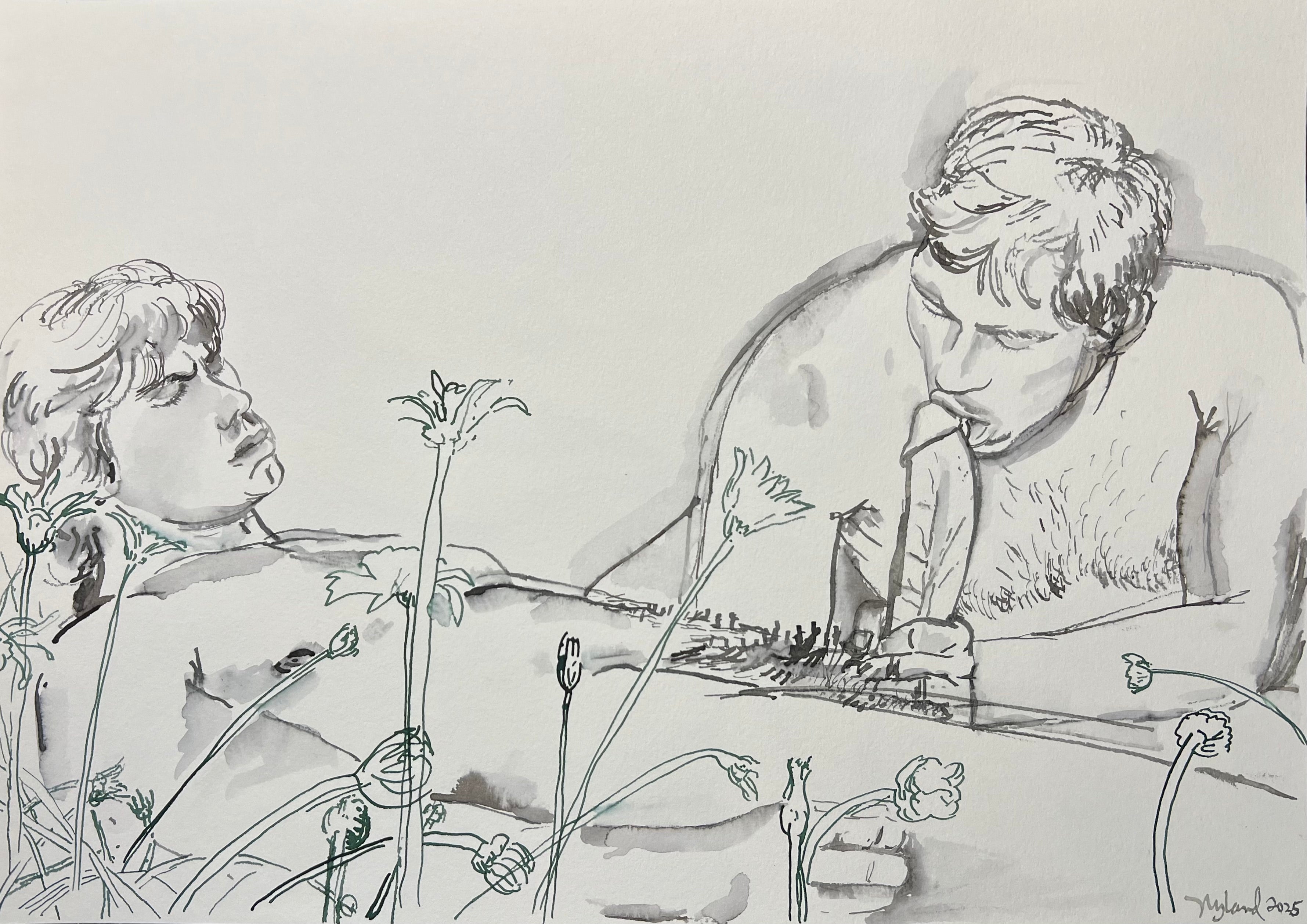 Nicholas Nyland / Field of Daisies