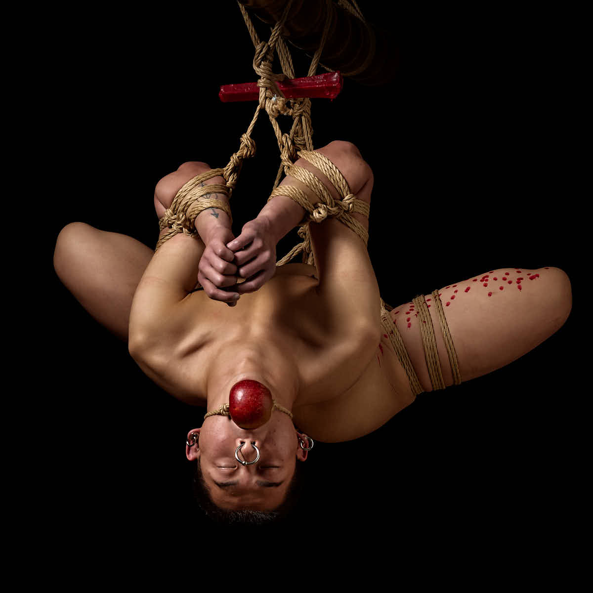 Male Shibari / Fistus Porcus 1