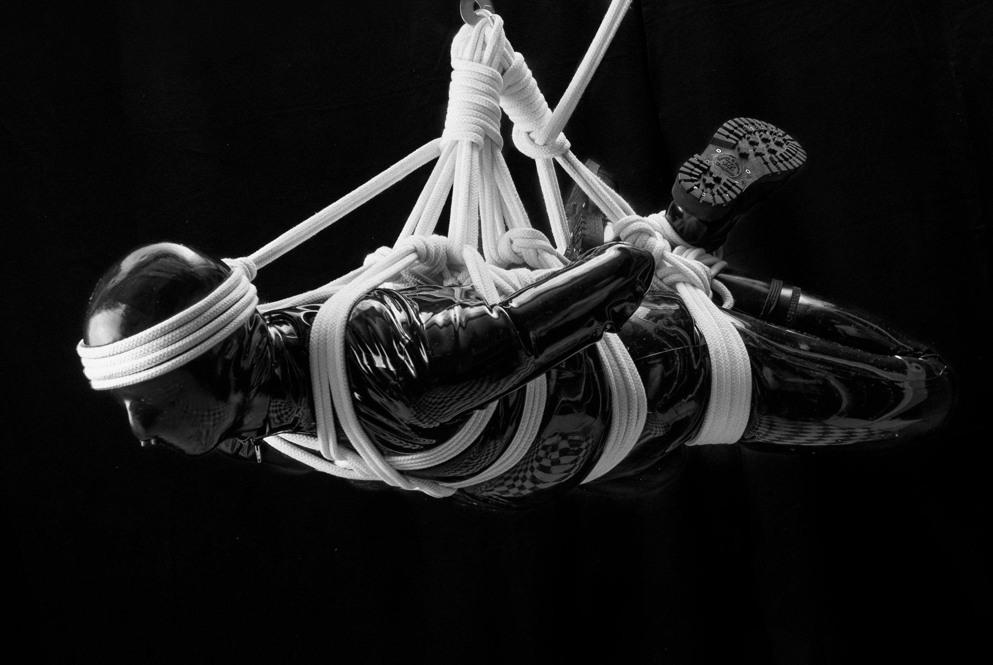 CurioFoto / Freedom Suspended