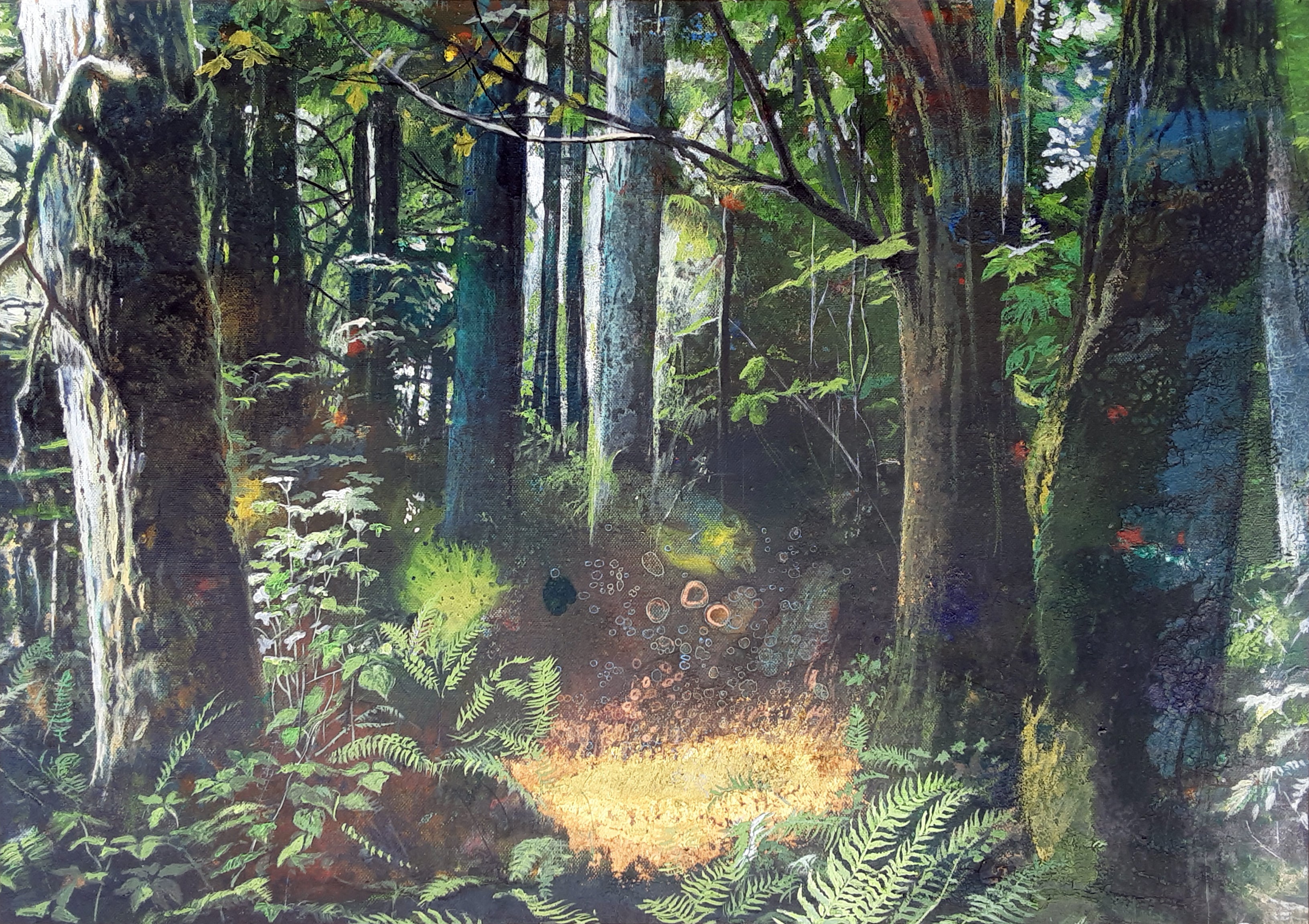 Farshad S / Im Atem des Waldes (In the Breath of the Forest)