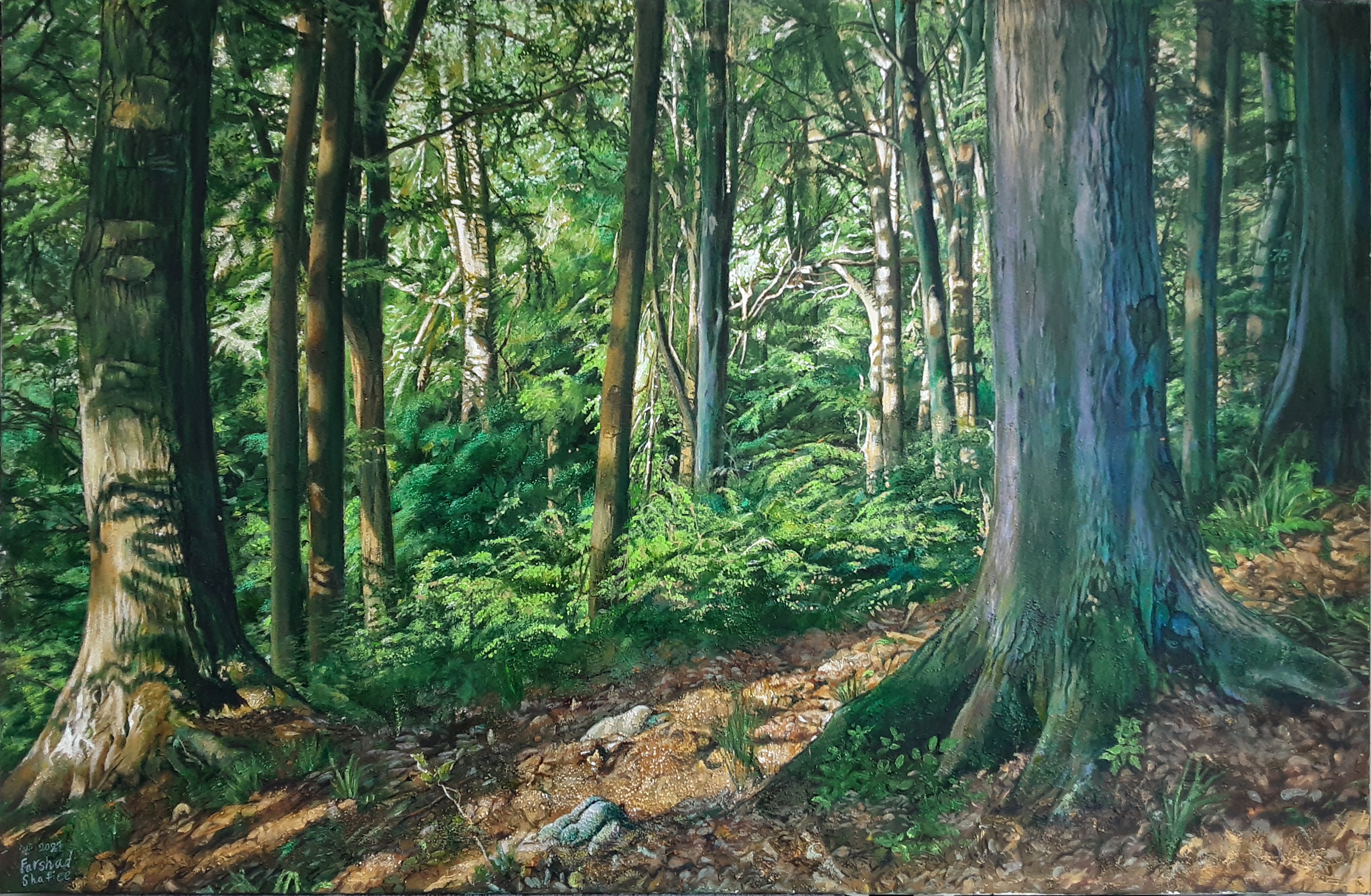 Farshad S / Im Gedächtnis des Waldes (In the Memory of the Forest)