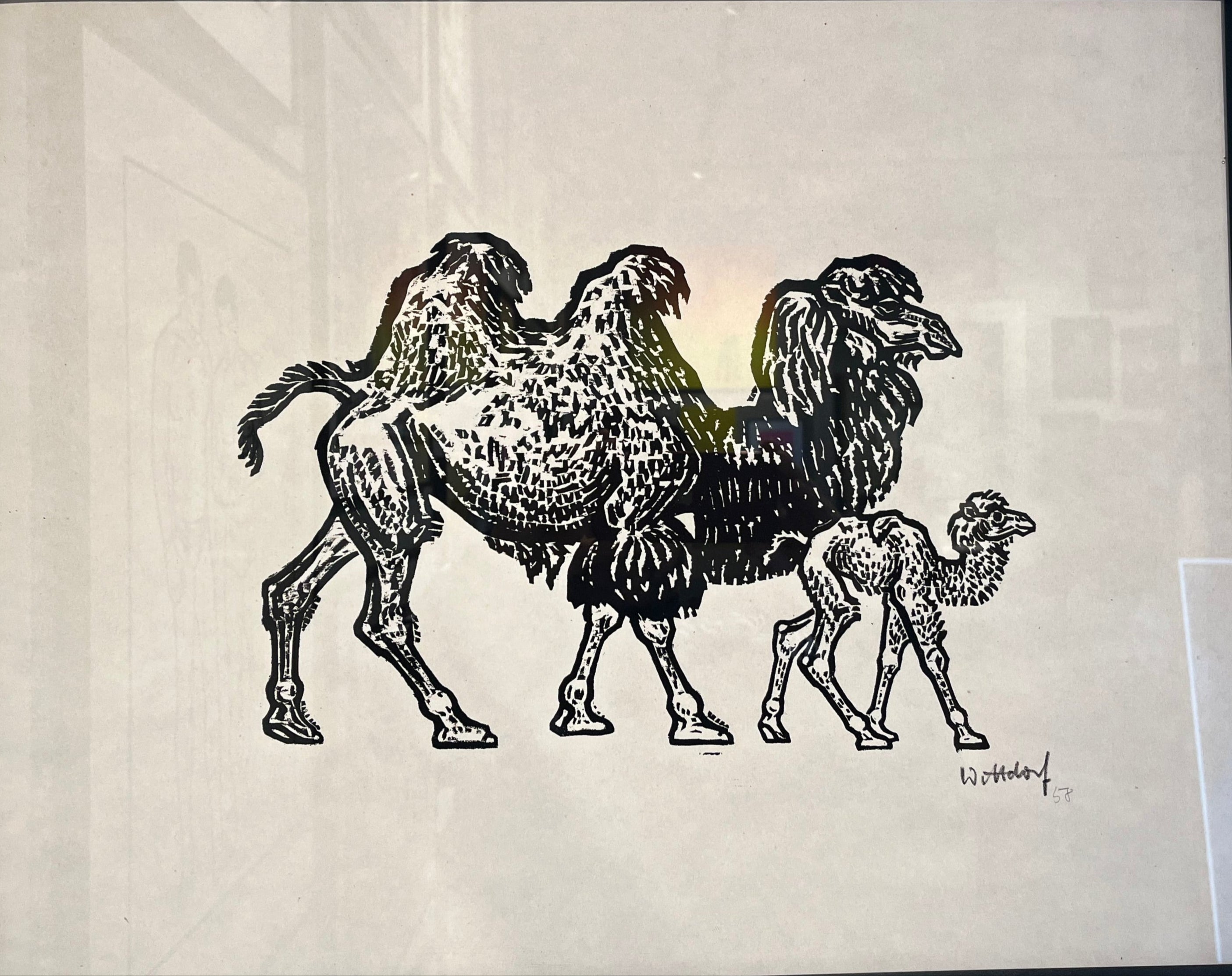 Jürgen Wittdorf / Camel