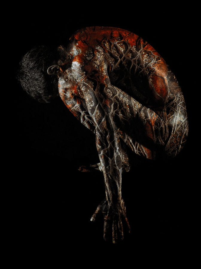 Uwe Frießner / Lazarus