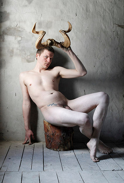 Edin Bajrić / HORN Serie