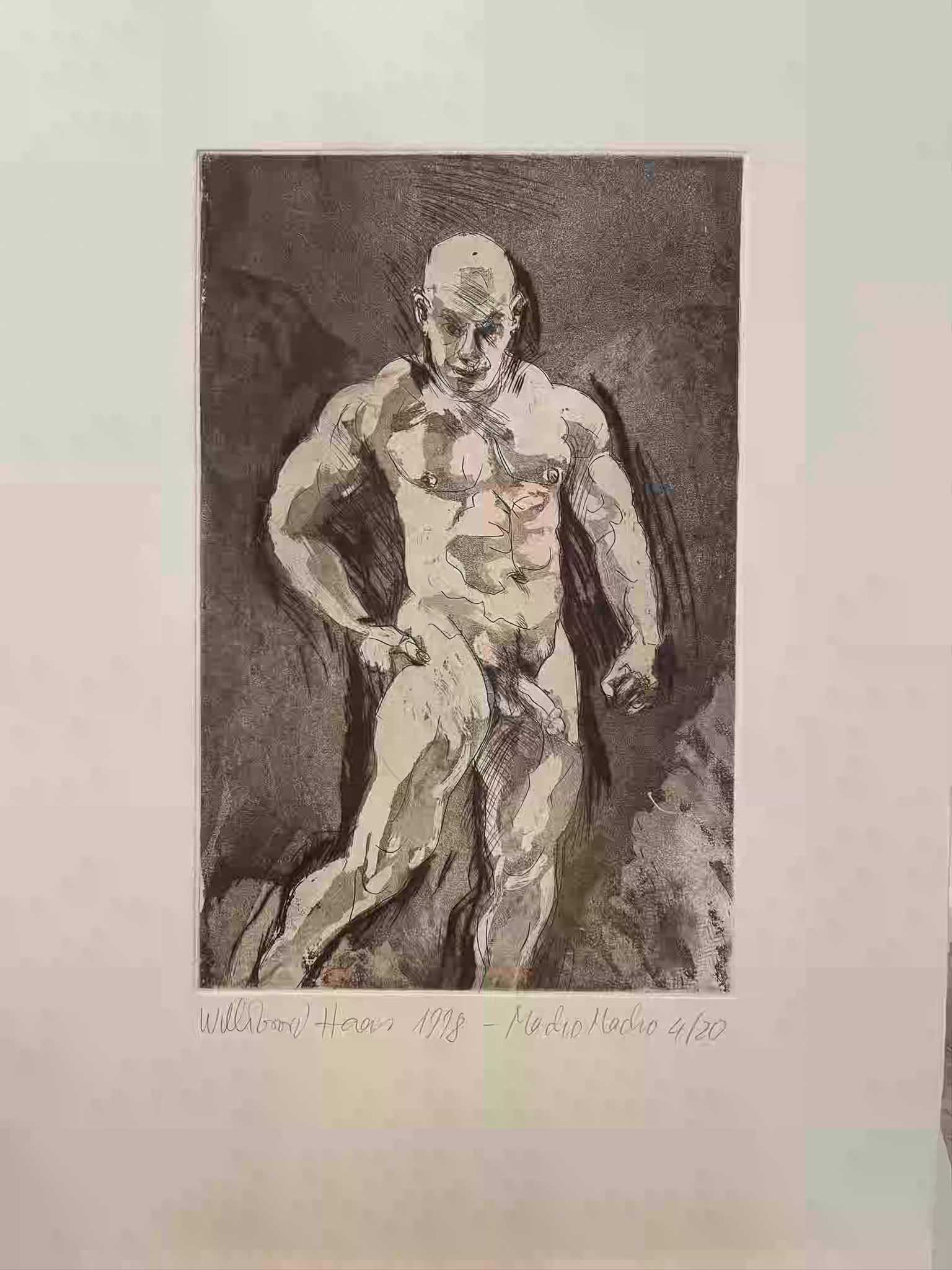 Willibroad Haas / Macho Macho