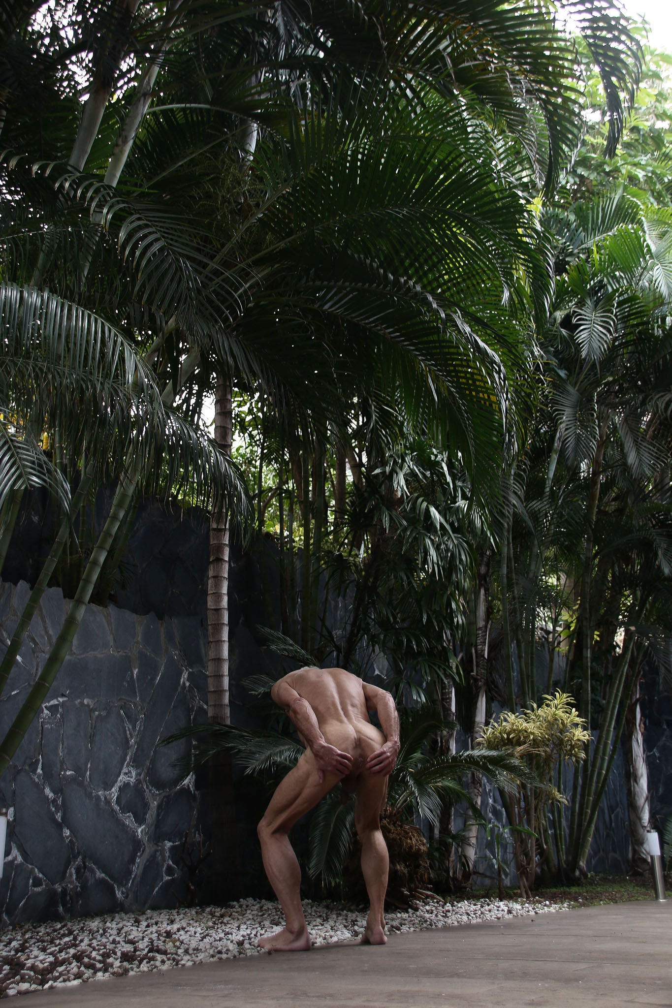 Norbert Heuler / Under Palms, 2018