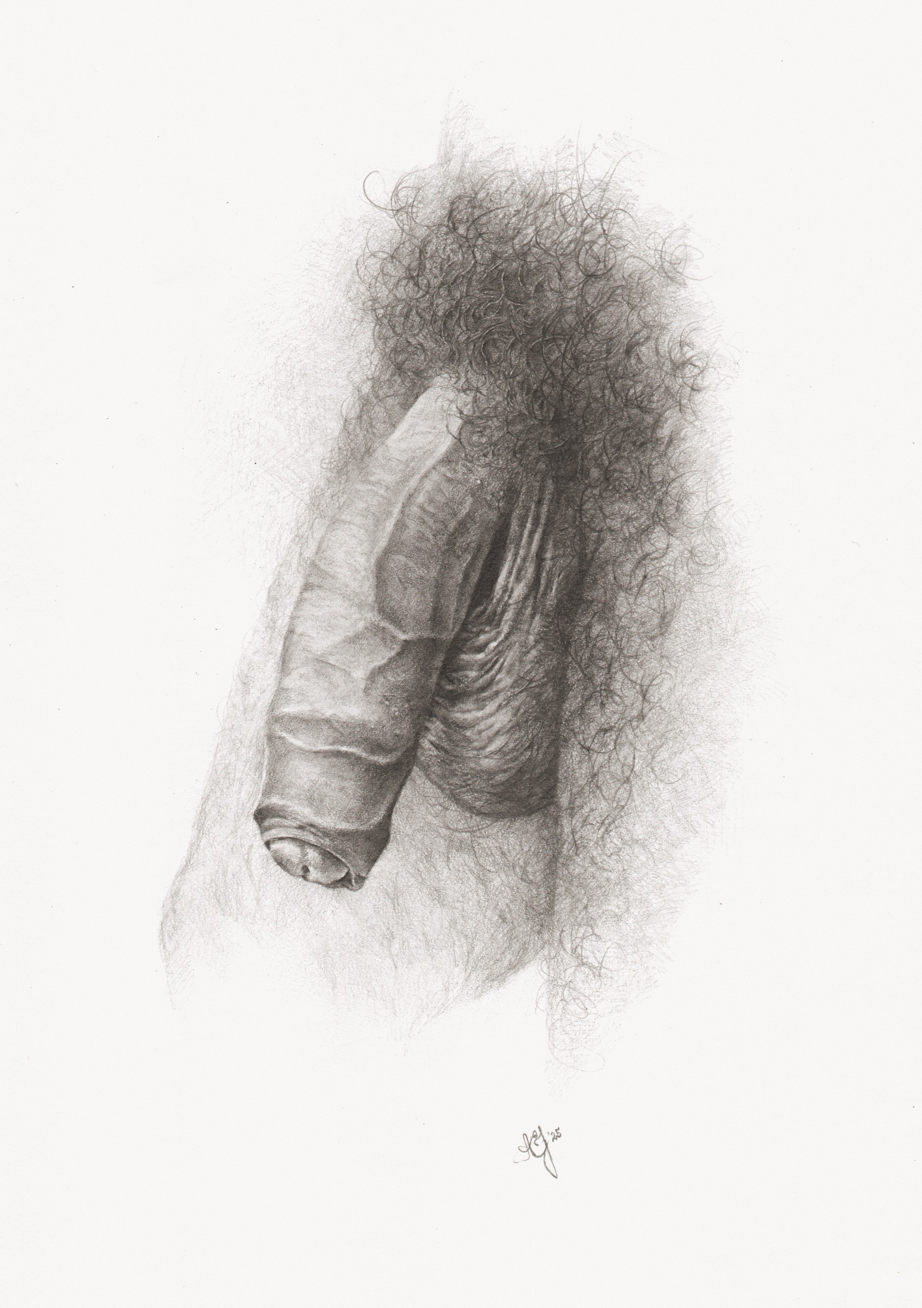 Antti Eric Joronen / Penis 2