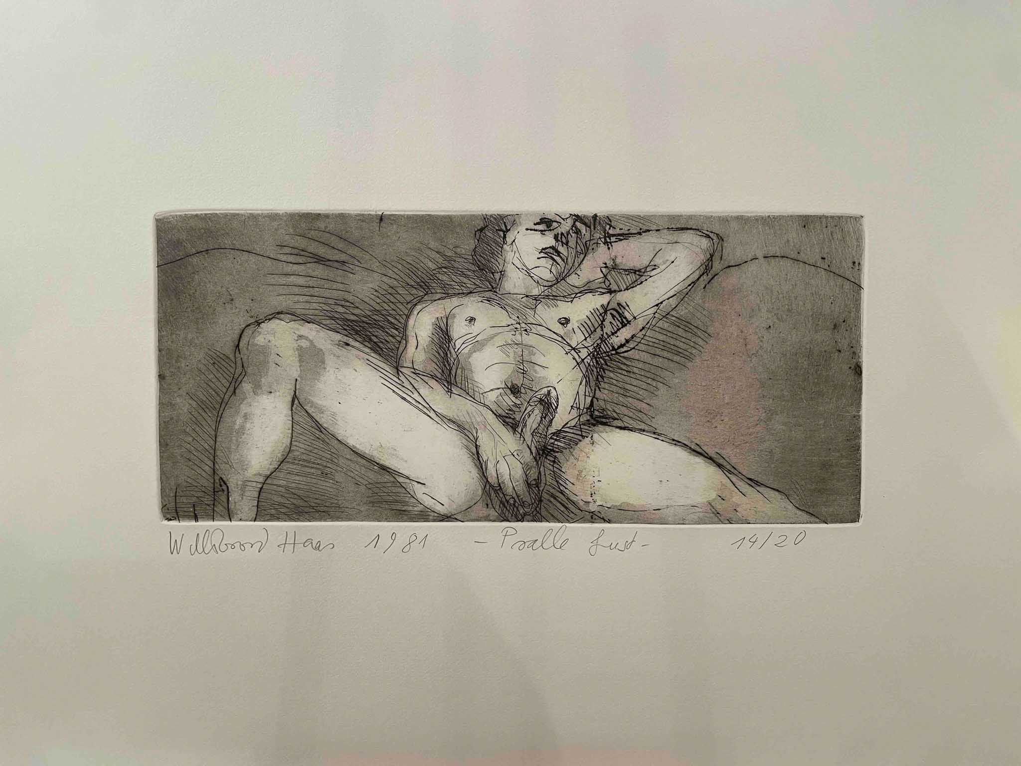 Willibroad Haas / Pralle Lust