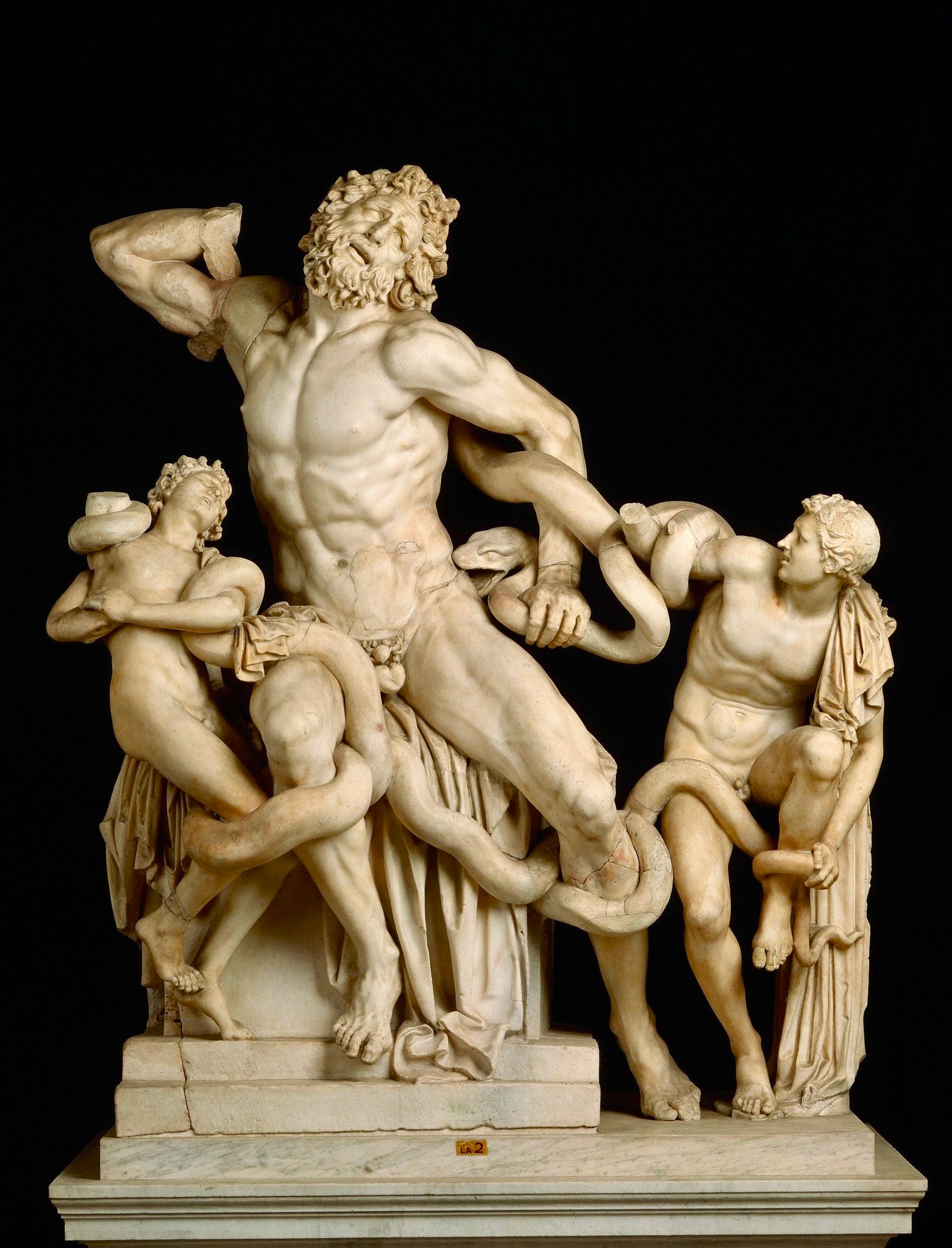 Henning von Berg / ROPE SNAKE FIGHT