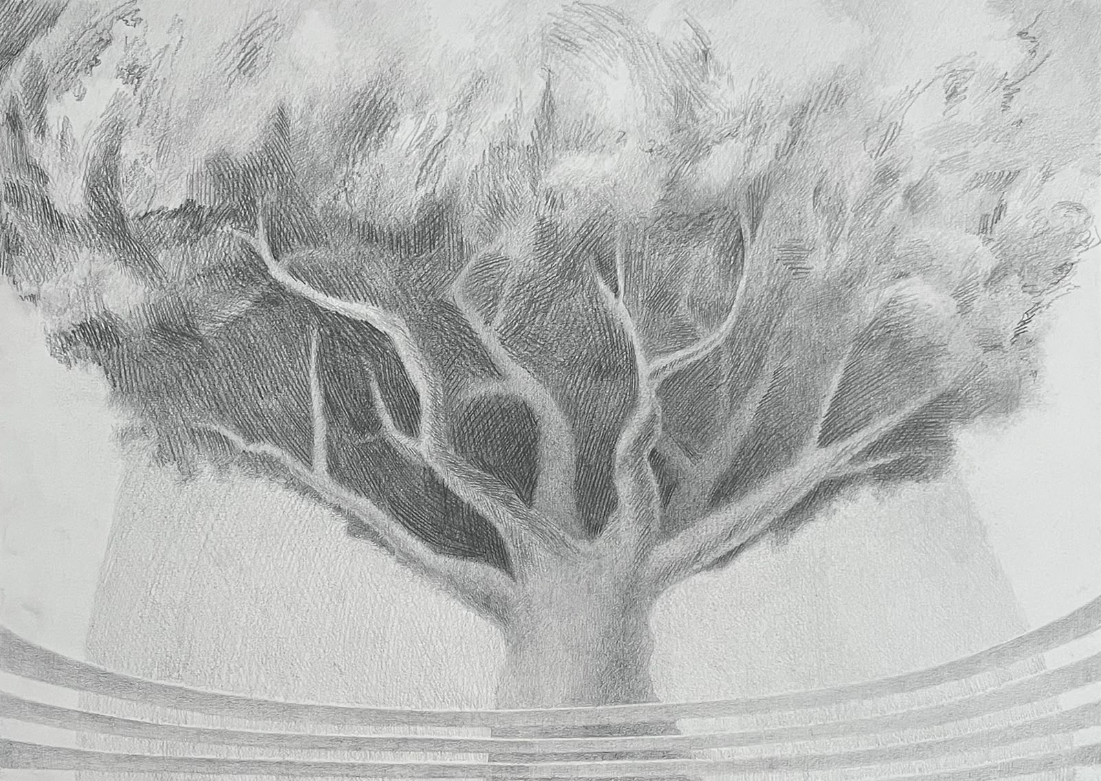 Daniel Negoita / School’s oak