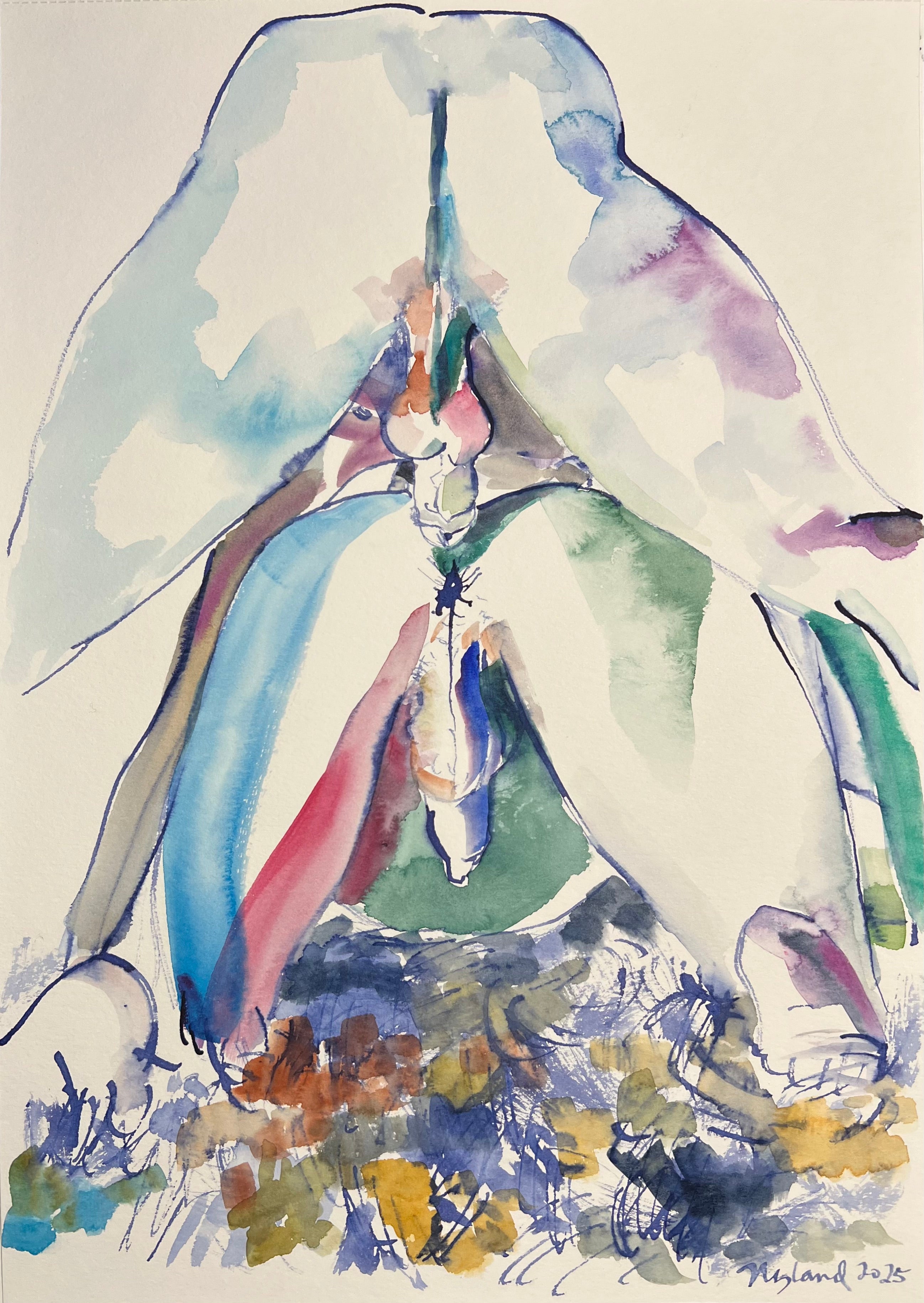 Nicholas Nyland / Shag Carpet