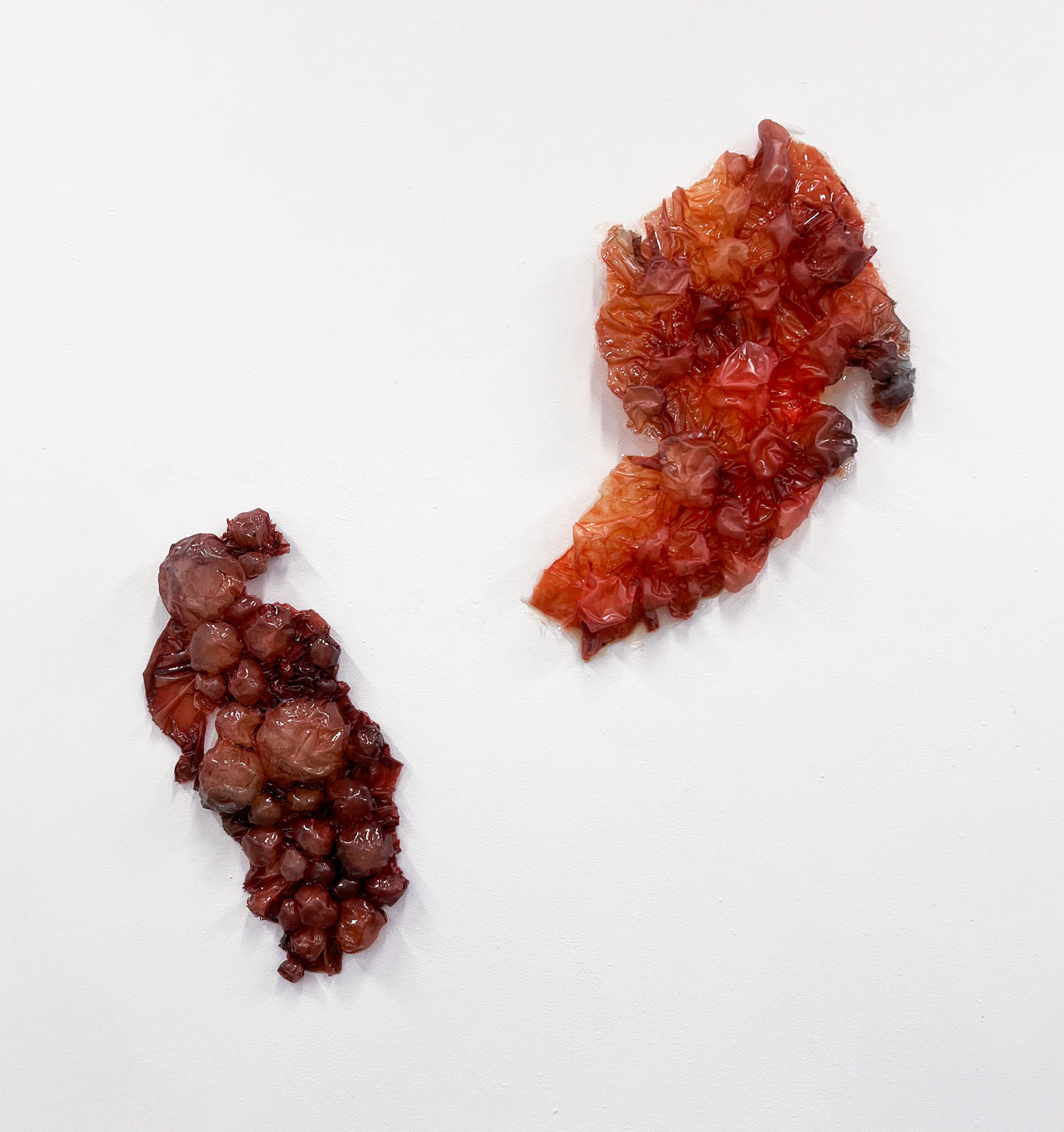 elin nielsen / the absent referent III