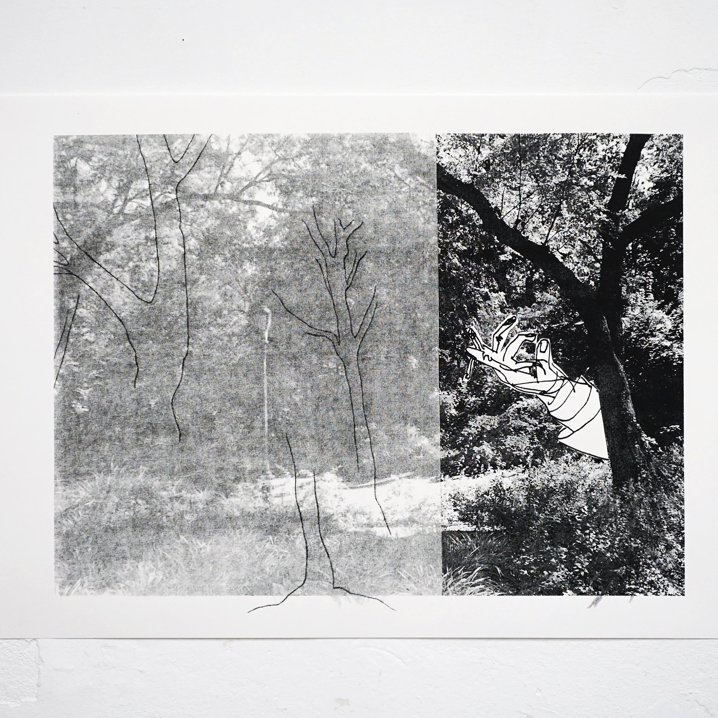 Irène Mélix / Trees, Queers, Queens (2)