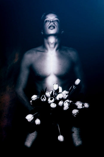 Uwe Frießner / Ein Strauss Voll Blüten